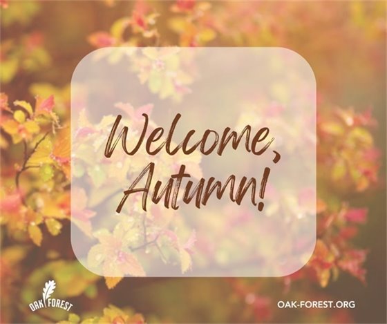 Welcome, Autumn
