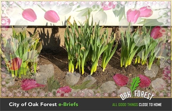 City of Oak Forest e-briefs