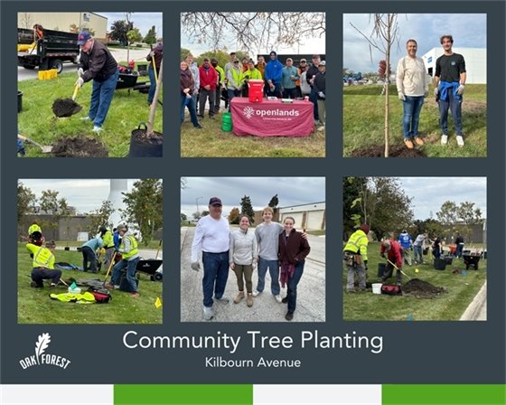 Community Tree Planting Photos