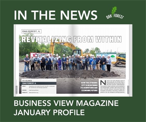 Business View Magazine Profile