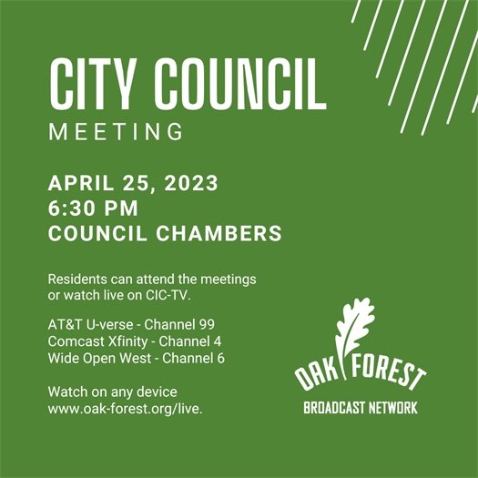 Watch City Council meetings on demand