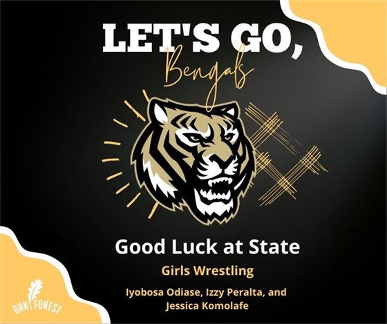 Good luck at state girls wrestling