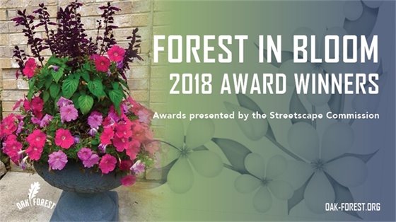 Forest In Bloom Award Winners