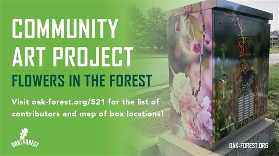 Community Art Project 2018
