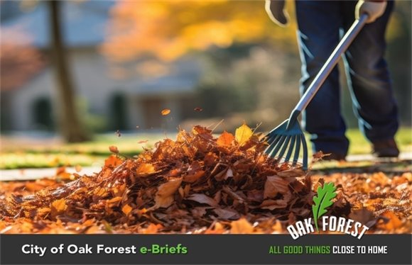 City of Oak Forest e-Briefs