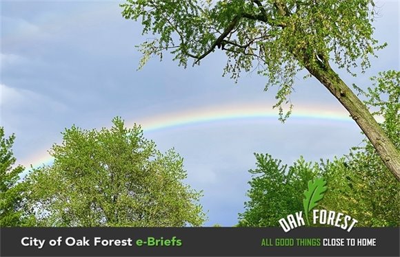 Rainbow over Oak Forest