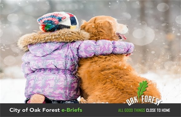 City of Oak Forest e-Briefs