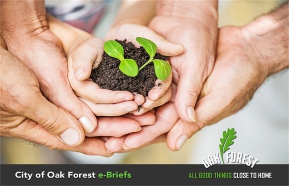 City of Oak Forest e-Briefs