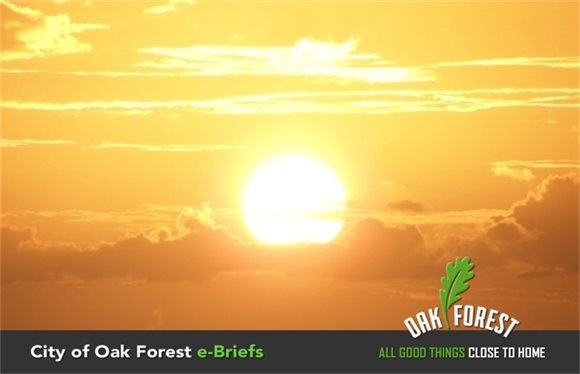 Summertime in Oak Forest