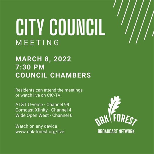 City Council Meeting