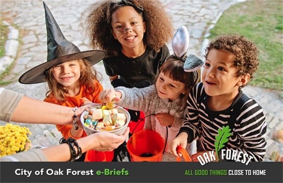 City of Oak Forest e-Briefs