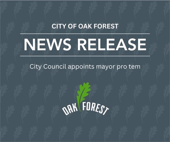 City Council appoints mayor pro tem