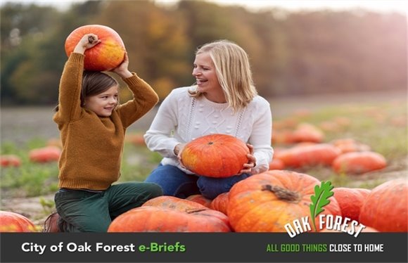 City of Oak Forest e-Briefs