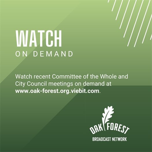 Watch City Council meetings online