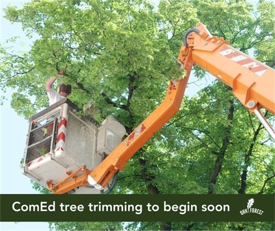 ComEd Tree Trimming Begins Soon
