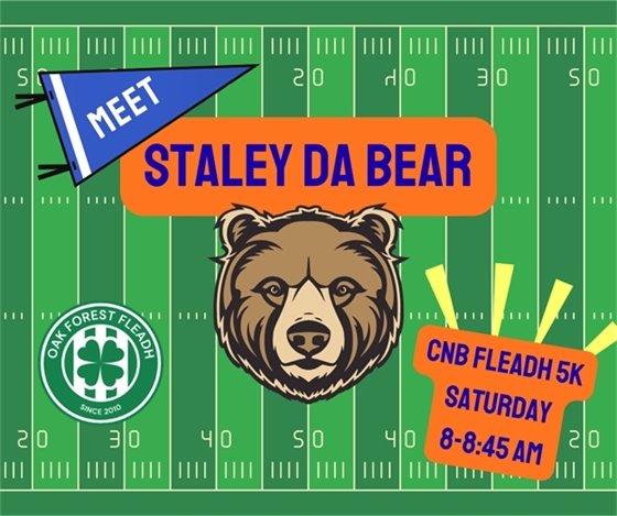 Meet Staley Da Bear at Fleadh 5K