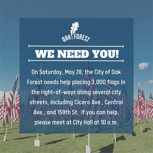 We need help to place flags in parkway
