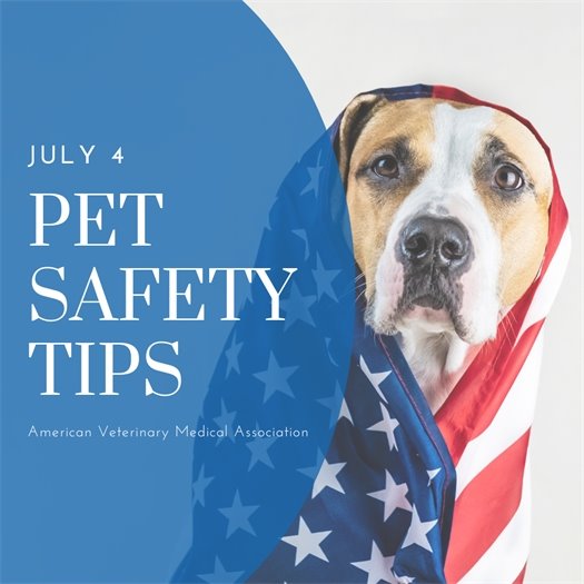 Fireworks and Pet Safety