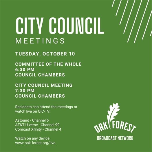 City Council Meeting Agenda 