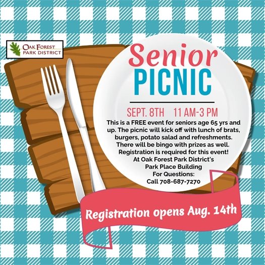 Senior Picnic at the park district