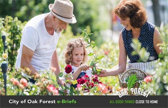 City of Oak Forest e-Briefs