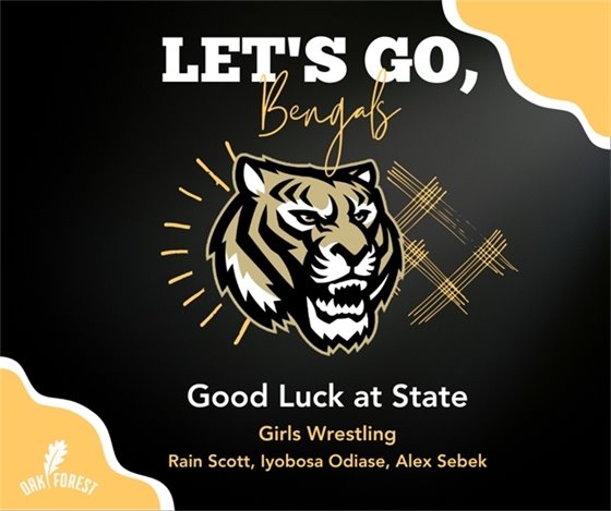 Good Luck at State: Girls Wrestling