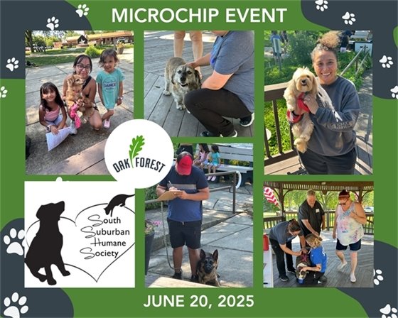 Microchip event photos