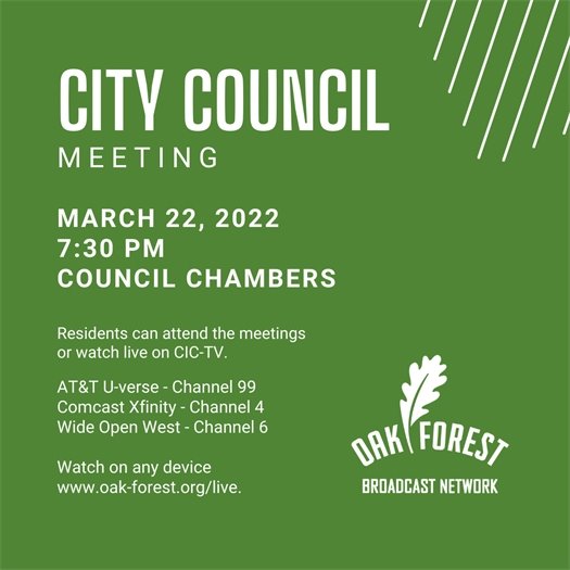 City Council Meeting 