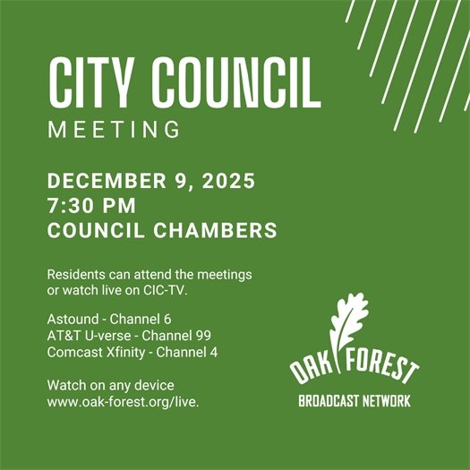 Watch City Council meetings