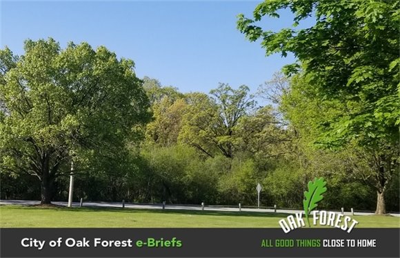 Oak Forest Forest Preserves 163rd and Long