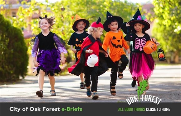 City of Oak Forest e-Briefs