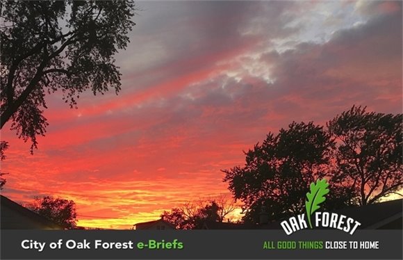 Sunset in Oak Forest