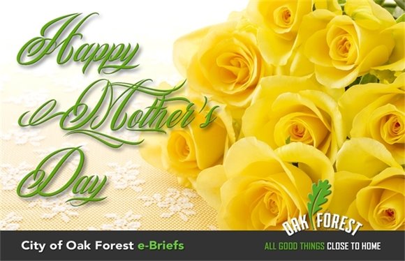 City of Oak Forest e-Briefs