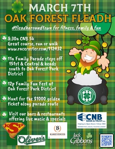 Oak Forest Fleadh Flyer