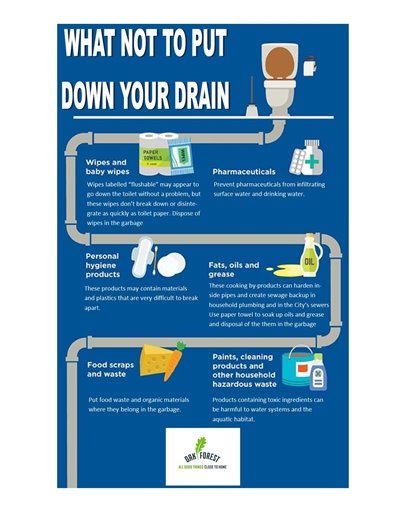 What Not to Put Down Your Drain