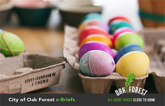 City of Oak Forest e-Briefs