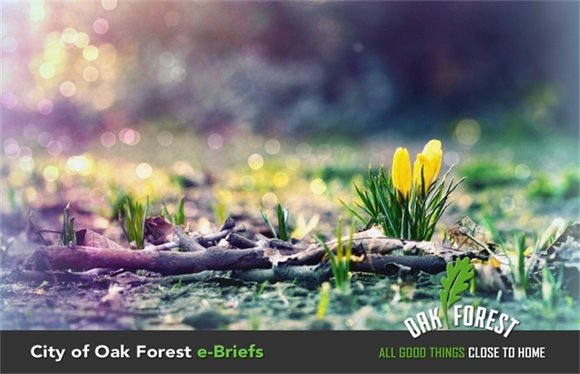 City of Oak Forest e-briefs