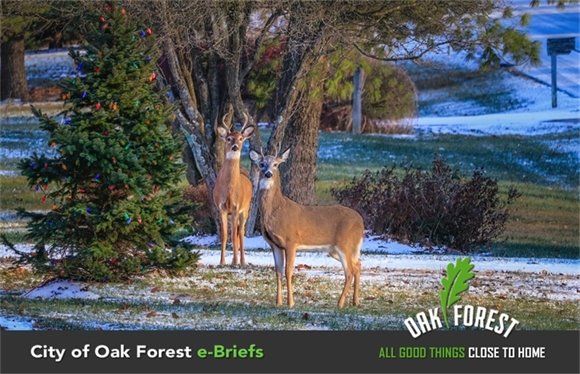 City of Oak Forest e-Briefs