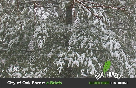 City of Oak Forest e-briefs