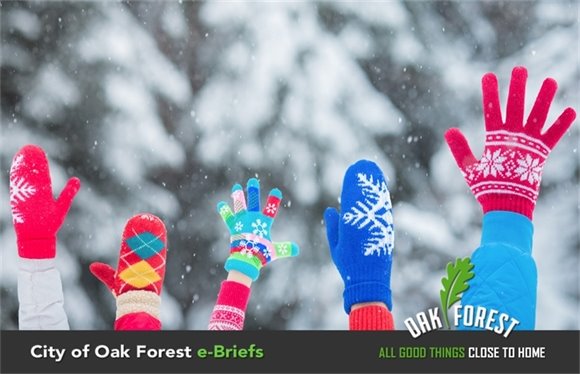 City of Oak Forest e-Briefs