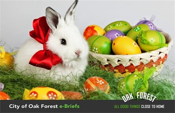 City of Oak Forest e-Briefs