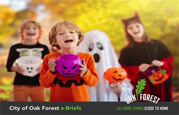 City of Oak Forest e-Briefs