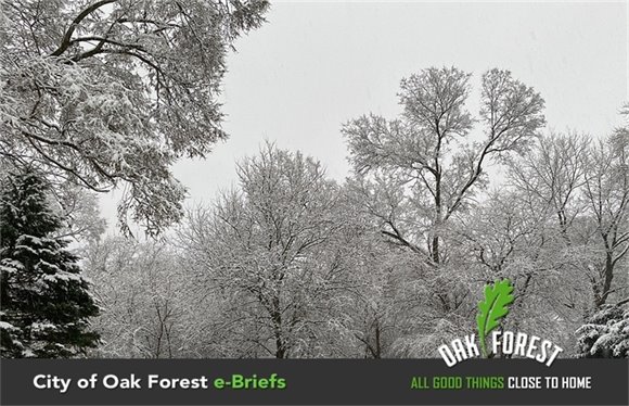 City of Oak Forest e-Briefs