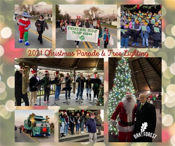 Christmas parade collage