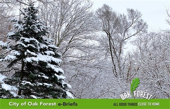 City of Oak Forest e-briefs