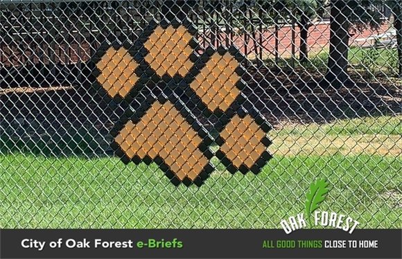 City of Oak Forest e-Briefs