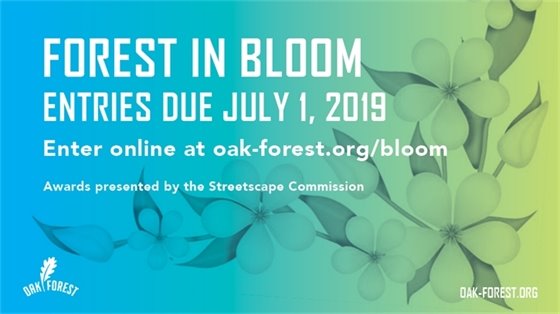 Forest In Bloom Awards 2019