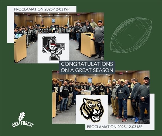 Bengals, Raiders honored at City Council meeting photos