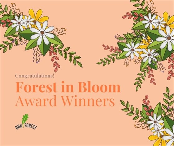 Forest in Bloom Award Winners