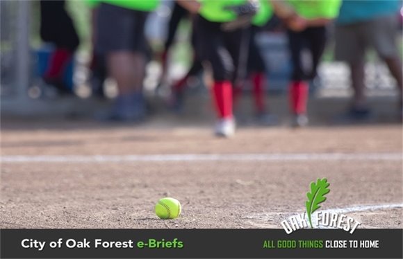 City of Oak Forest e-Briefs